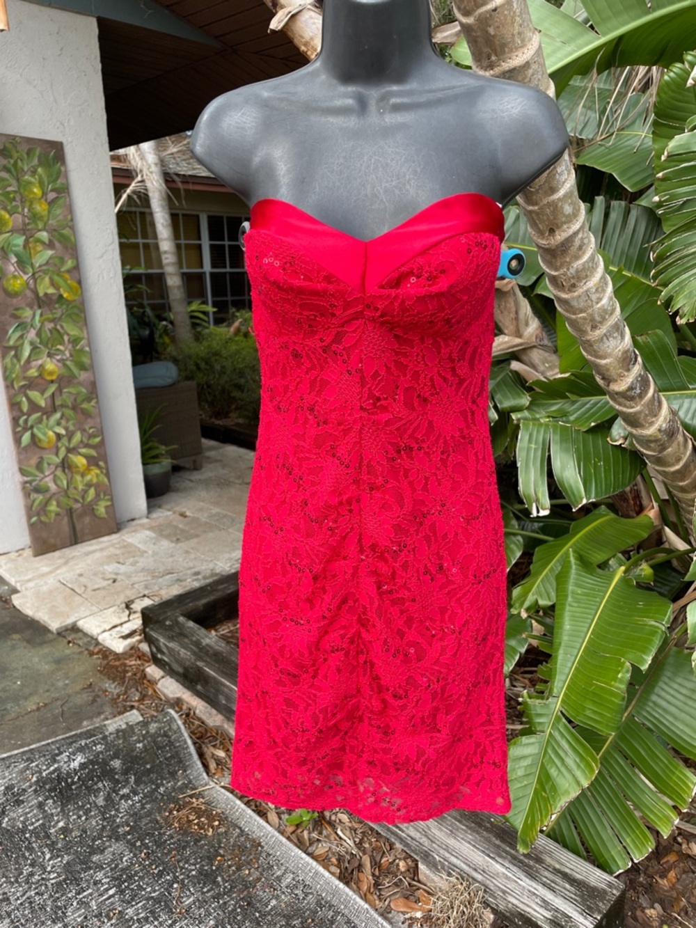 strapless, lace, sequins, and satin dress